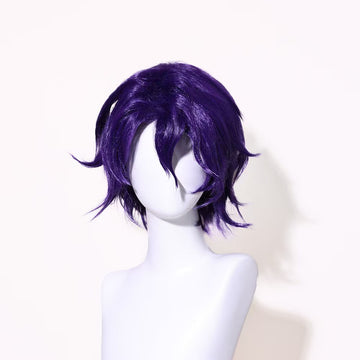 Honkai: Star Rail|Dr.Ratio Wig